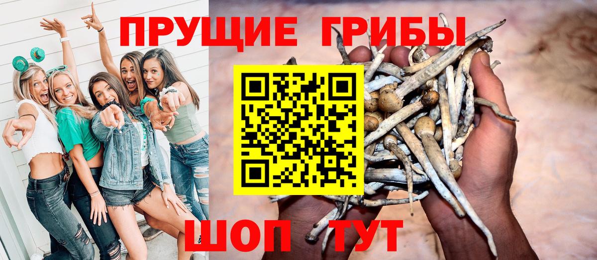 купить наркоту  Галлюциногенные грибы ЛСД  Вход с VPN  Балахна 