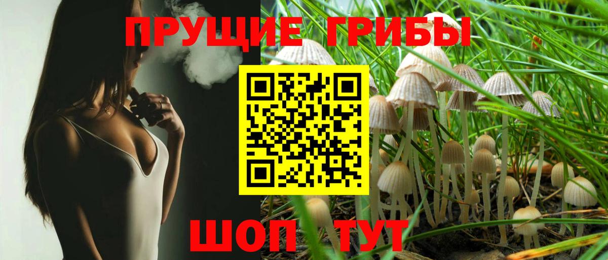 Псилоцибиновые грибы мицелий Балахна
